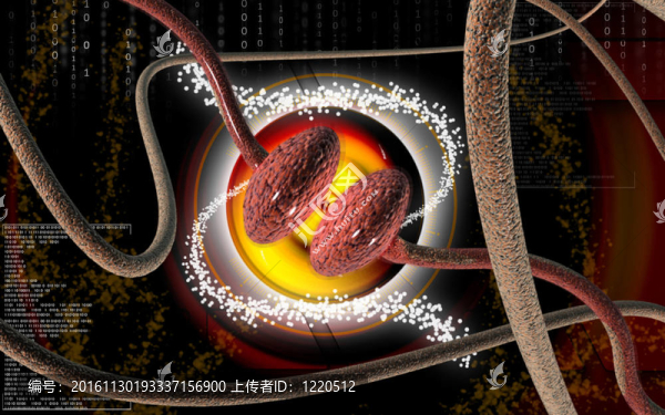 突觸-匯圖網(wǎng) www.fosd68.com 突觸