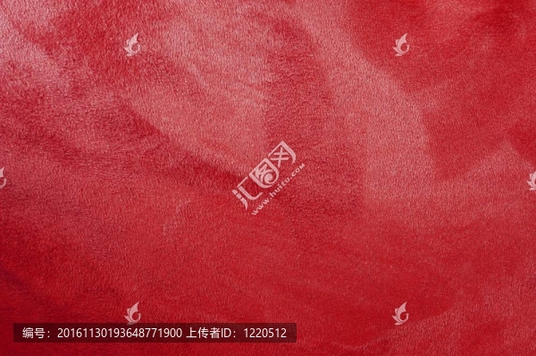被毛的質(zhì)地