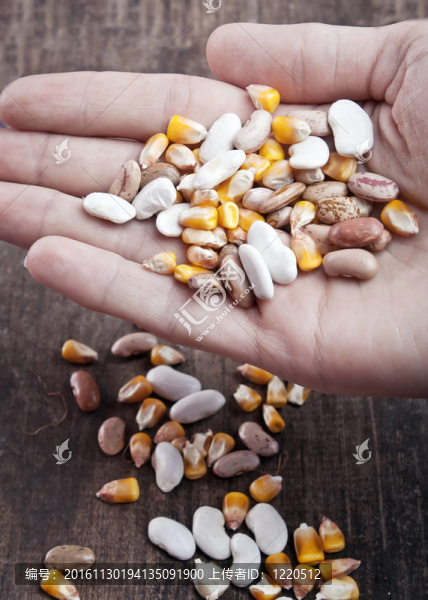 手持豆粒