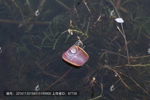 戴河生態(tài)園