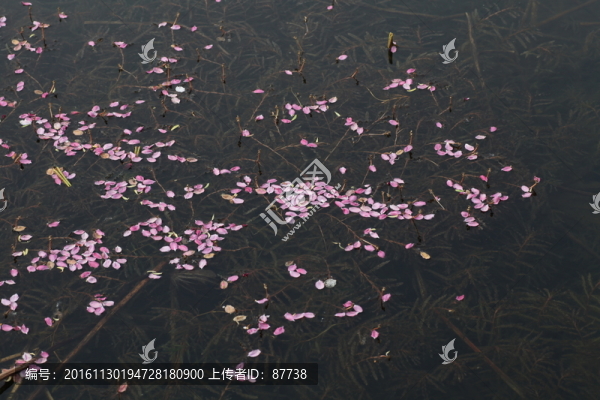 戴河生態(tài)園