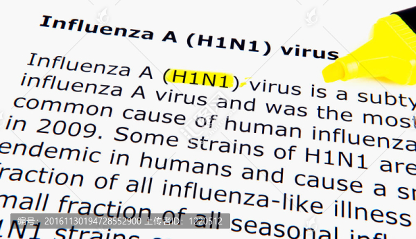 感染甲型H1N1流感病毒的圖片