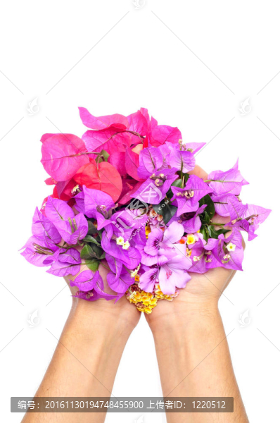 充滿鮮花的手