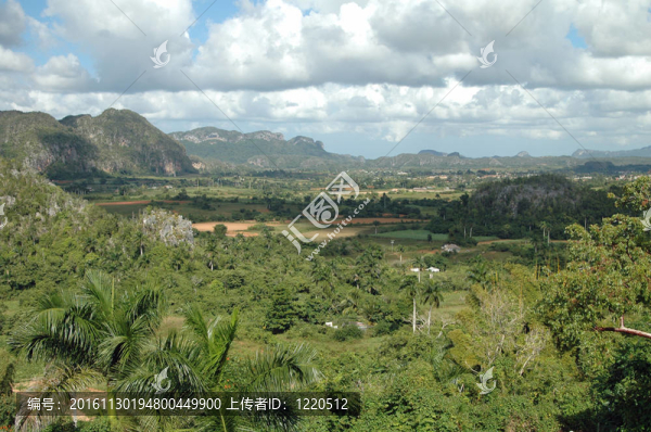 Valle,de比尼亞萊斯；古巴