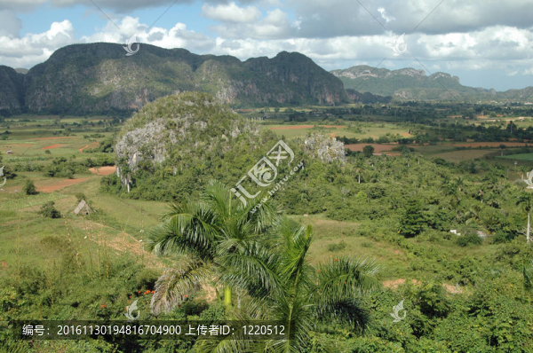 Valle,de比尼亞萊斯；古巴