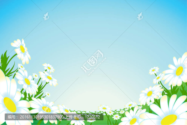 夏菊花草甸