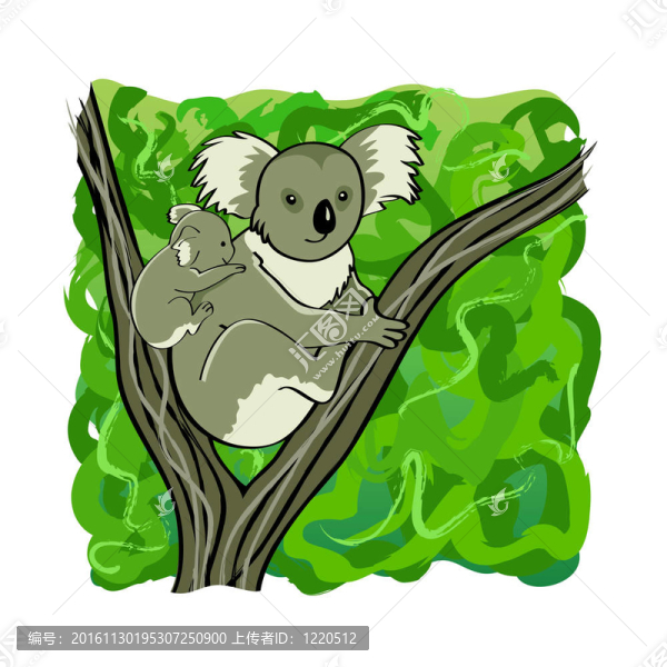 Koala的家人