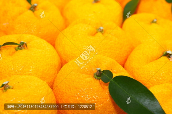 香木緣