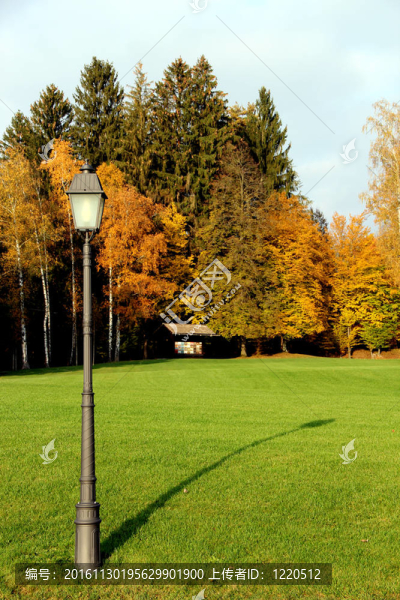 在公園里
