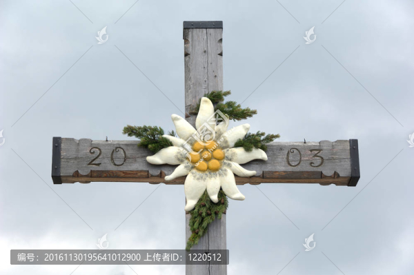 細(xì)節(jié)和特寫(xiě)：峰會(huì)跨雪絨花