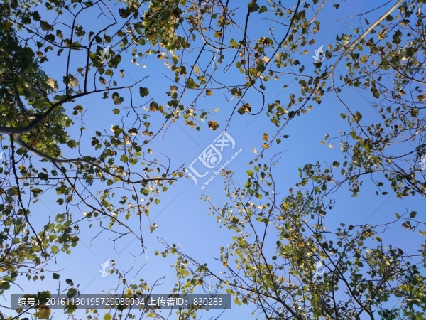 干凈的天空