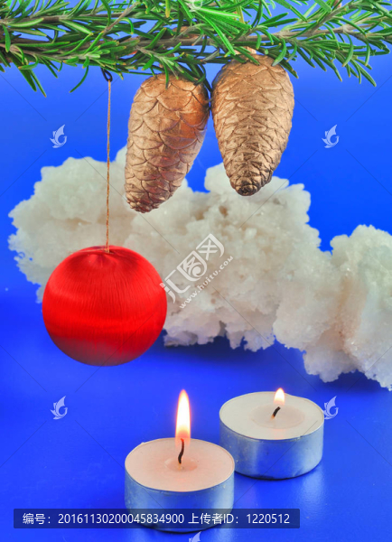 兩冷杉球果