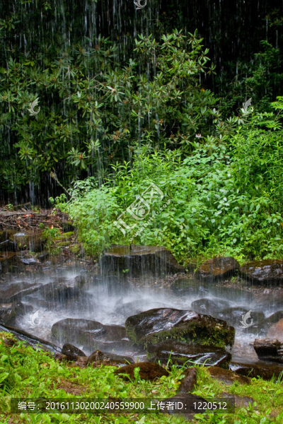 山下的雨