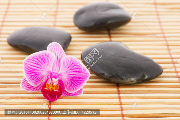蘭花和熱石