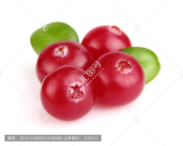 漿果蔓越莓