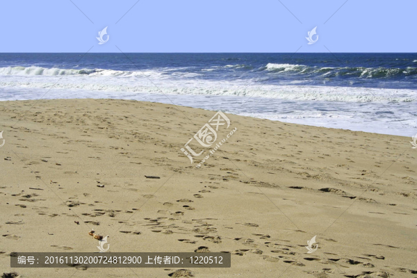 在海灘上