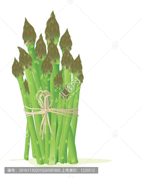 蘆筍束