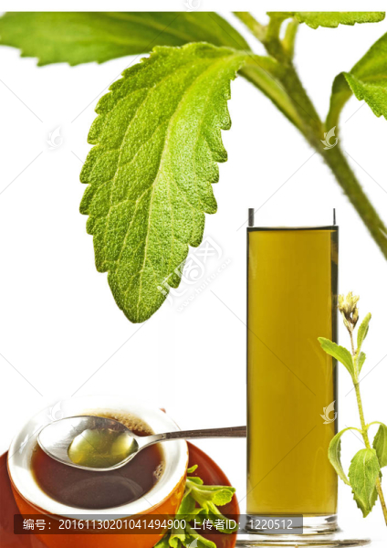 甜菊糖；支持