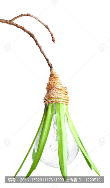 樹上草生態(tài)燈