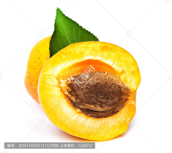 白熟杏