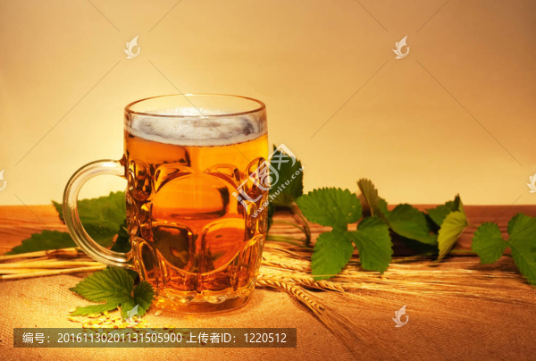 啤酒用小麥和跳靜物解雇