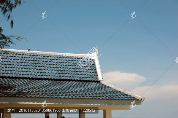 屋頂