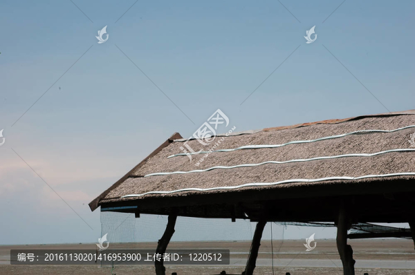 屋頂