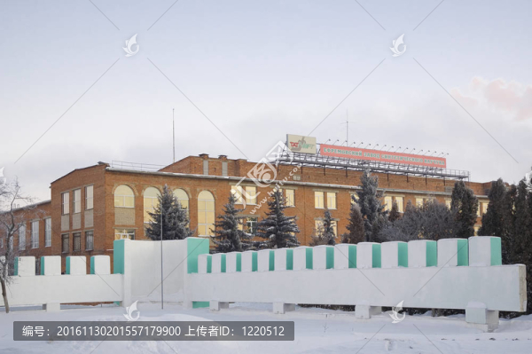 合成橡膠廠。性的城市。俄羅斯