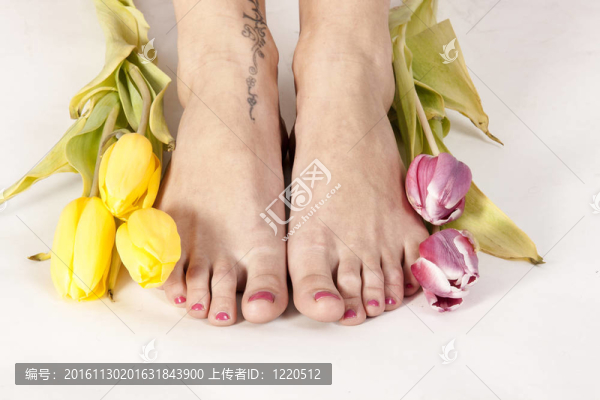 腳和郁金香