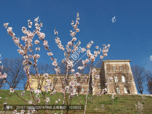 Castello,di,Rivoli；意大利