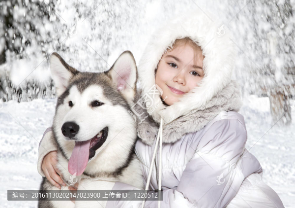 雪橇狗與一個女孩