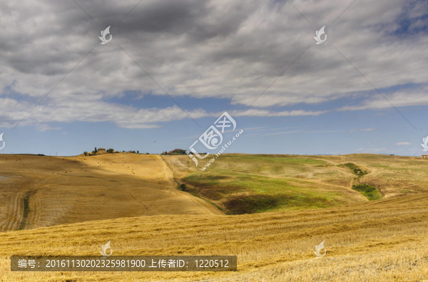 Val,d,Orcia（托斯卡納）景觀