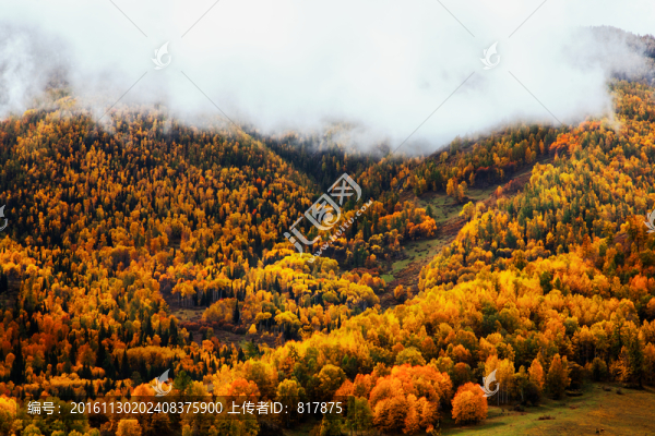 秋景