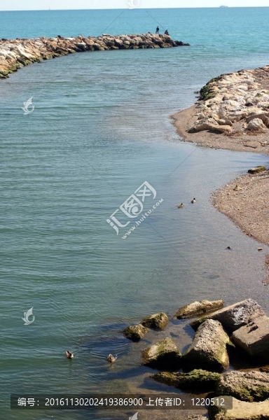 漫長(zhǎng)的海岸