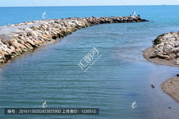 海岸