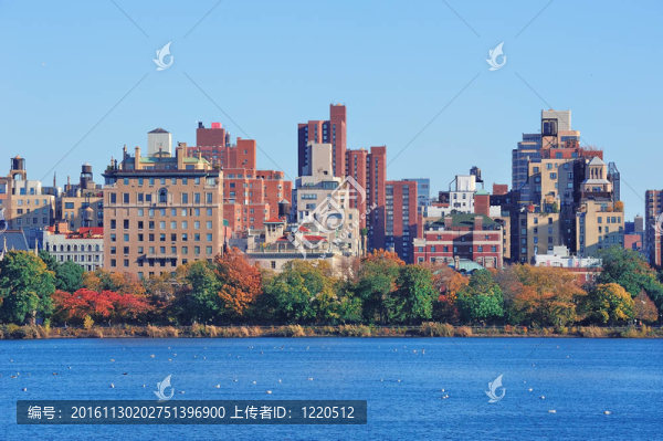 紐約市中央公園湖