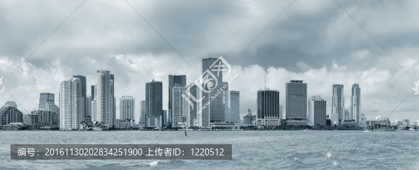 邁阿密黑與白