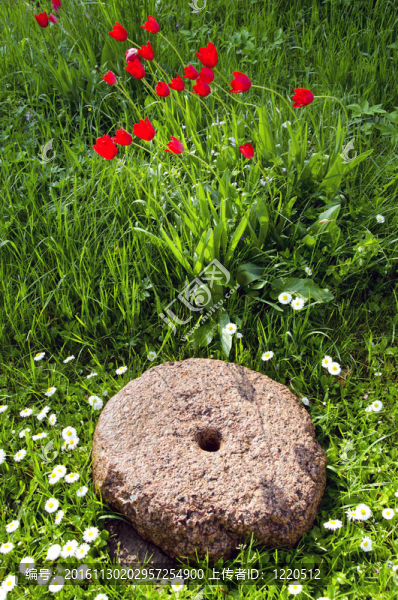 在花園的歷史包袱-匯圖網(wǎng) www.fosd68.com 在花園的歷史包袱