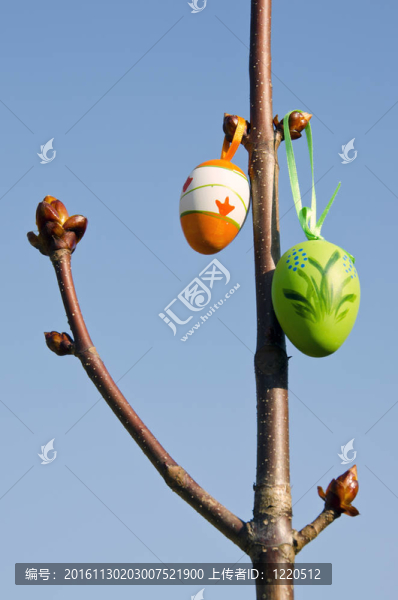 復(fù)活節(jié)彩蛋在七葉樹(shù)的樹(shù)枝