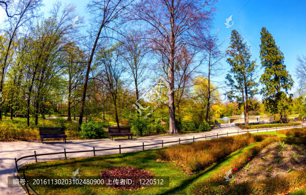 公園的春天時間