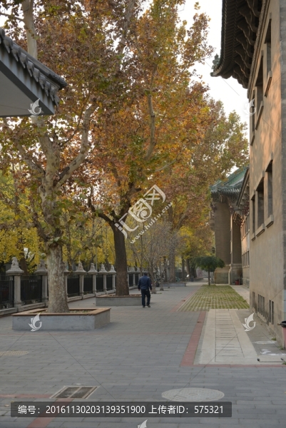北京師范大學(xué)