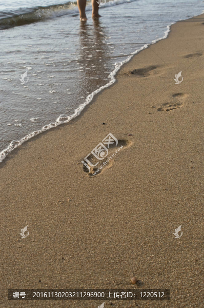 Baltic海灘上的沙灘上的痕跡