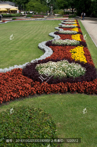 錫蒂市中心里加公園的鮮花