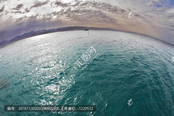 紅海海灘上的早春