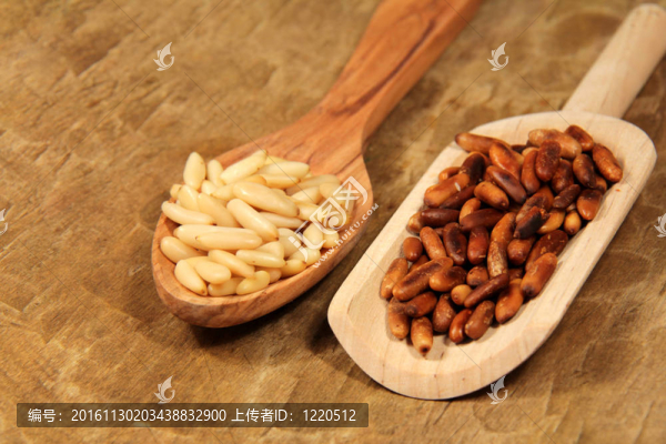 松樹的種子