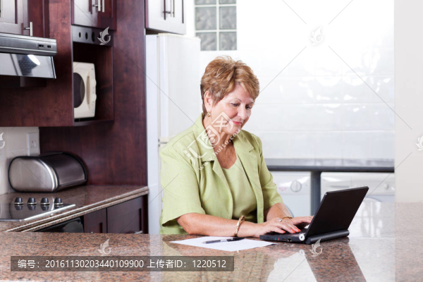使用互聯(lián)網(wǎng)金融的高級女性