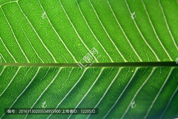 堅(jiān)持在陽(yáng)光下