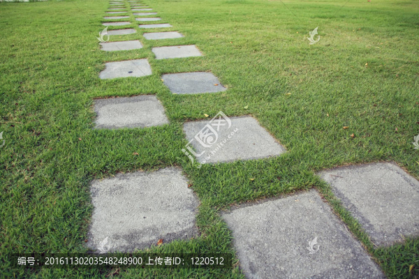 在草地上的小路