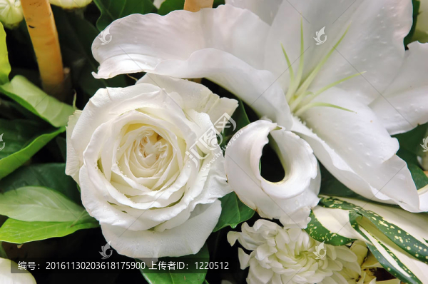 花束