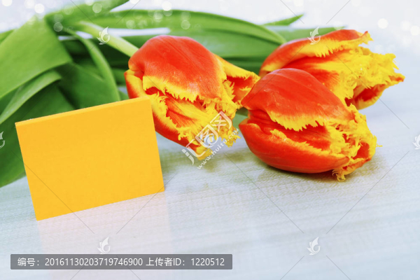 美麗的花束